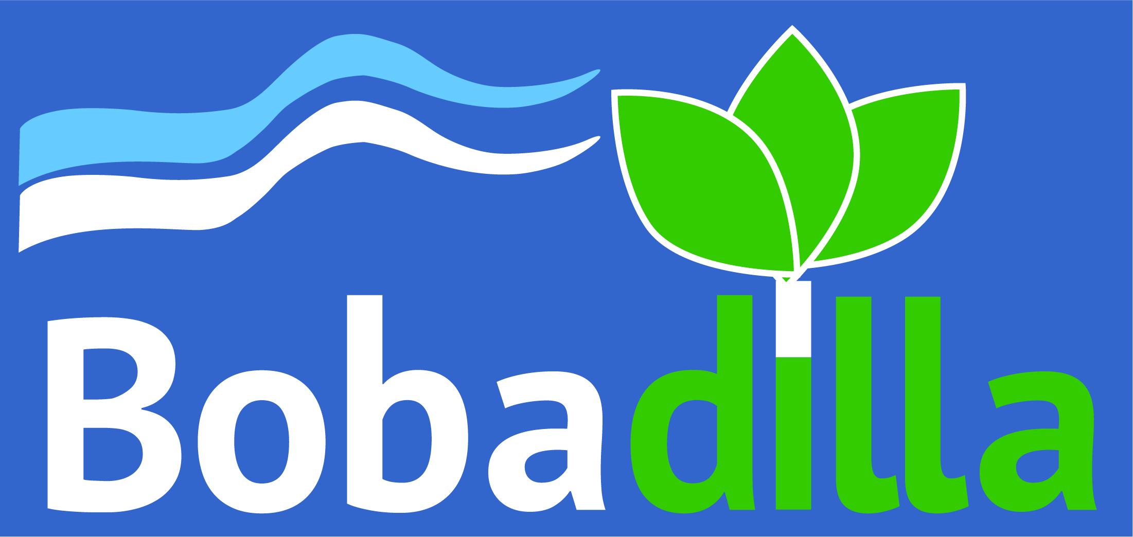 Cooperativa de Servicios de Agua Potable y Alcantarillado Bobadilla  Limitada